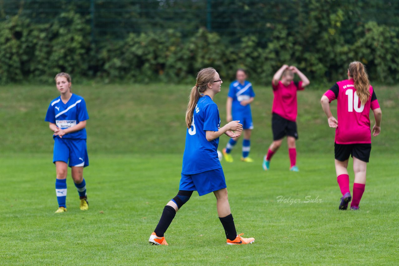 Bild 427 - B-Juniorinnen FSG BraWie 08 - JSG Sandesneben : Ergebnis: 2:0